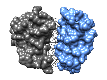 Molecular Interactions