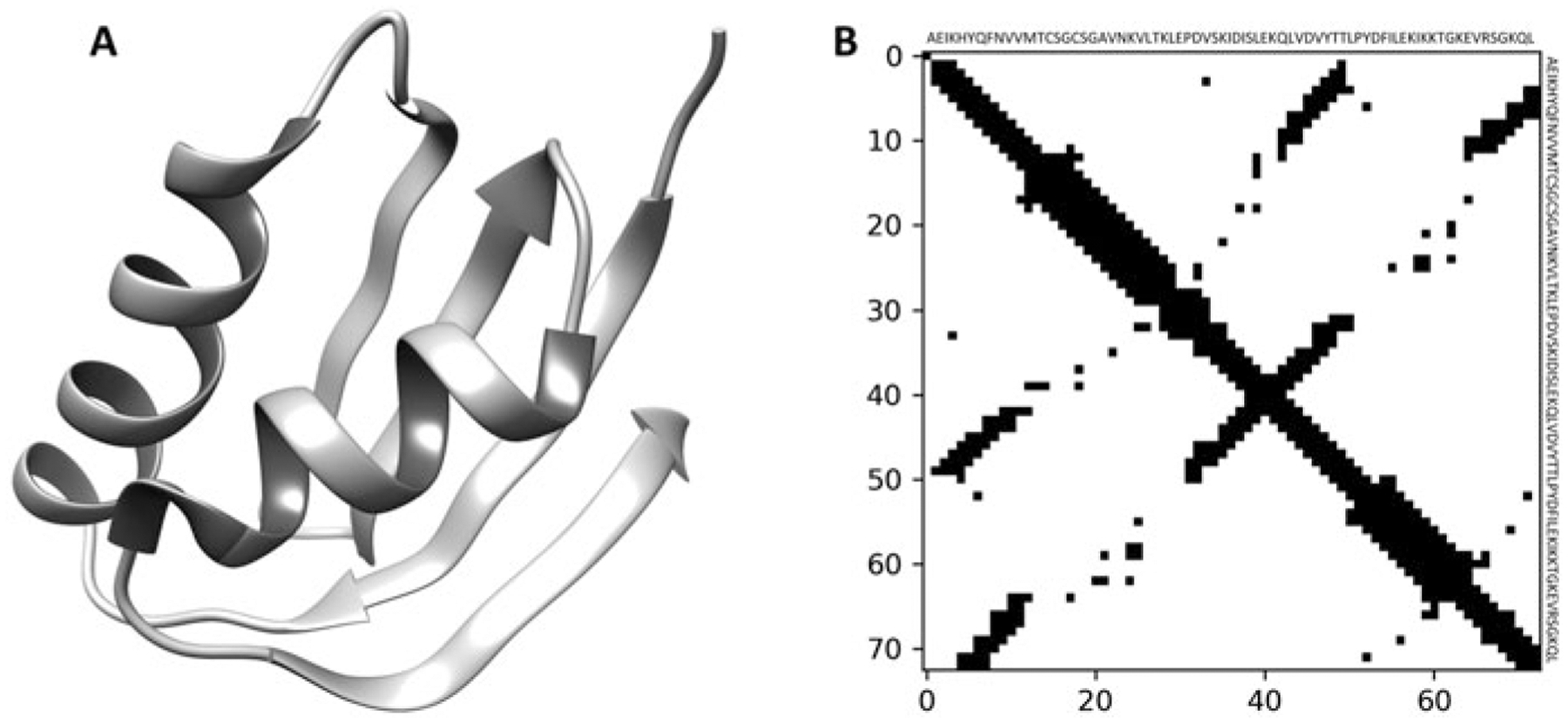 Protein Homology Modeling